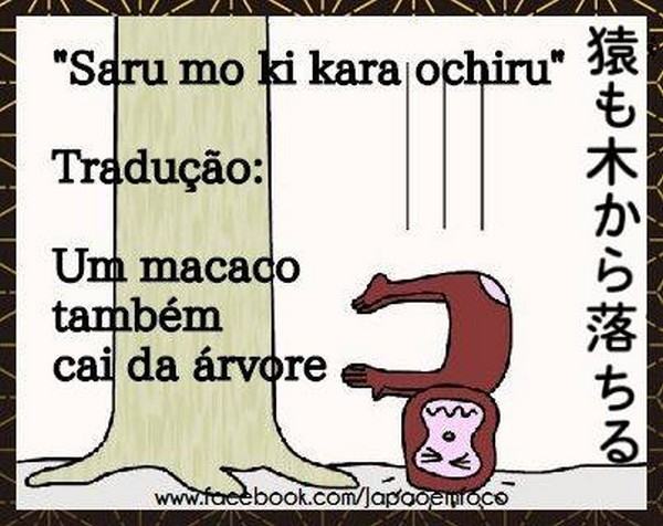 proverbio-japones-macaco