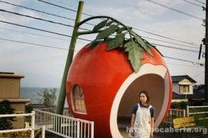 tomato ponto de ônibus