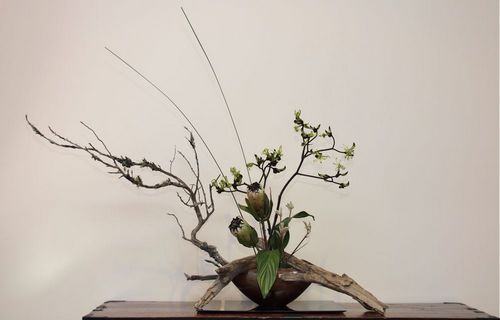 Curiosidades sobre o Ikebana 