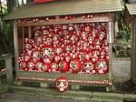 Daruma Santuário Daruma