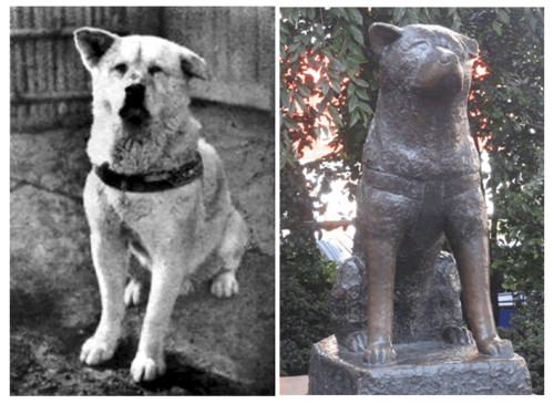Estátua de Hachiko