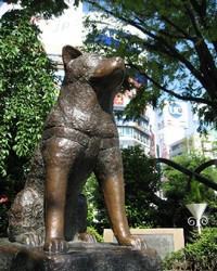 Hachiko estátua
