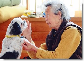 Cão salva dona de tsunami
