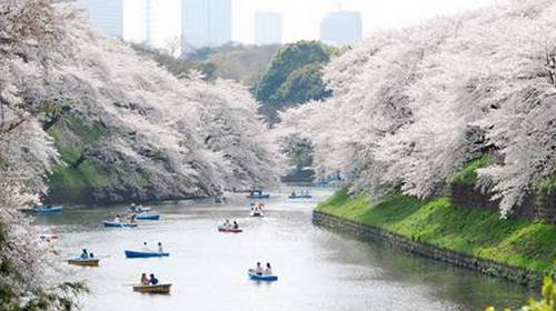 Ueno koen em Tóquio