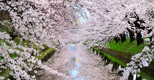 Rio Gojo, Iwakura, província de Aichi