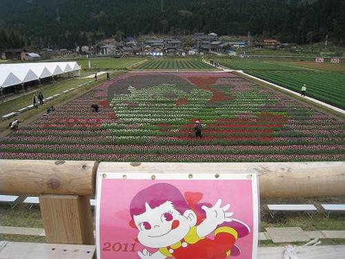 Tantou Tulip Festival de 2011, Tema Peco-chan, mascote da Fujiya