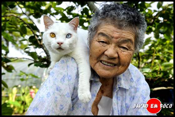 Misao e Fukumaru, uma linda história de amizade