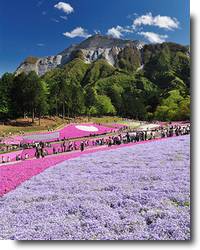 Chichibu Hitsujiyama Park em Saitama