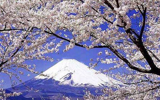 Resultado de imagem para monte fuji