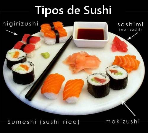 Featured image of post Tipos De Sushi Fotos - Milhares de fotos novas de alta qualidade são adicionadas todos os dias.