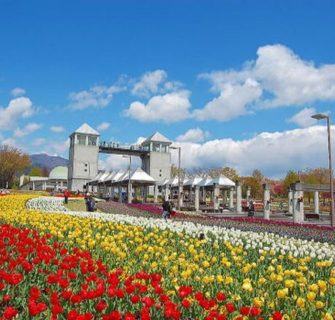 Gunma Flower Park