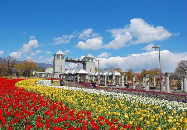 Gunma Flower Park