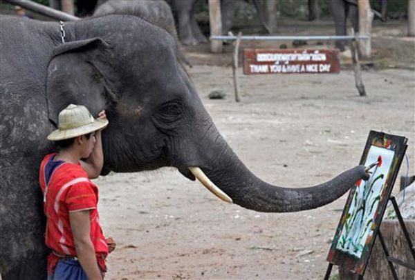 elefante-desenhista-tailandia