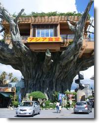 Gajumaru - Casa na árvore em Okinawa Gajumaru - Casa na árvore em Okinawa