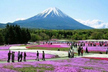 Monte Fuji Parque Nacional Fuji-Hakone-Izu