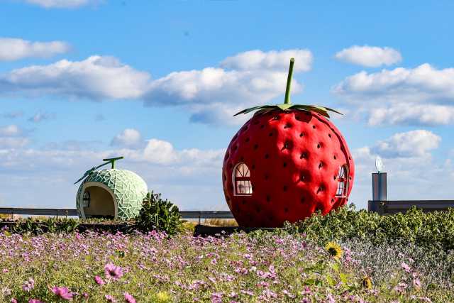 Os curiosos pontos de ônibus em formato de frutas, no distrito de Konagai em Isahaya, Nagasaki 