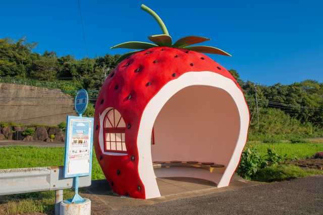 Os curiosos pontos de ônibus em formato de frutas, no distrito de Konagai em Isahaya, Nagasaki 