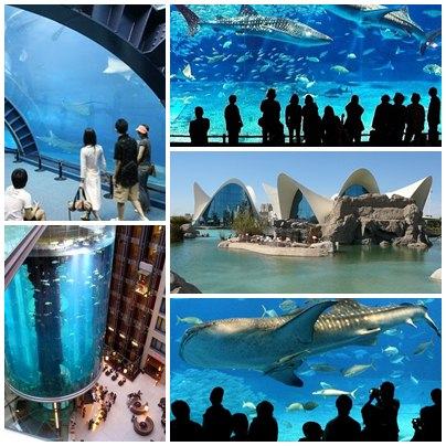 Okinawa Churaumi Aquarium