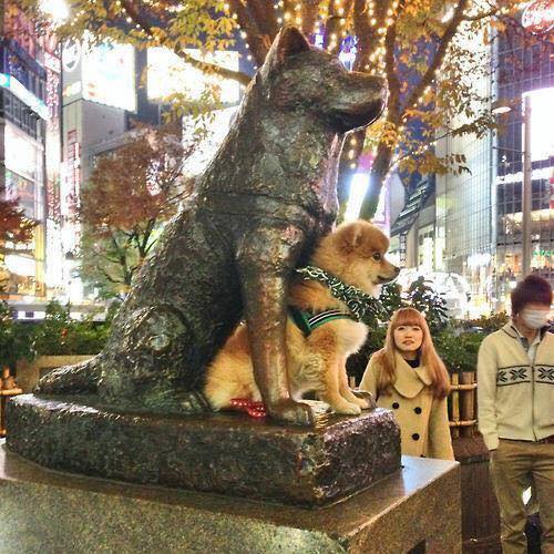 estátua de Hachiko em Shibuya