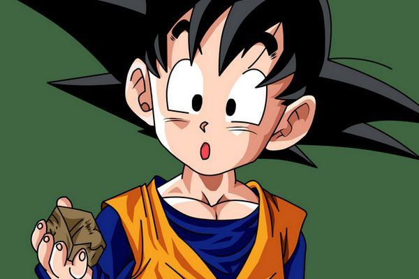 Você Sabia que Goku e Gohan tem o mesmo dublador em Dragon Ball