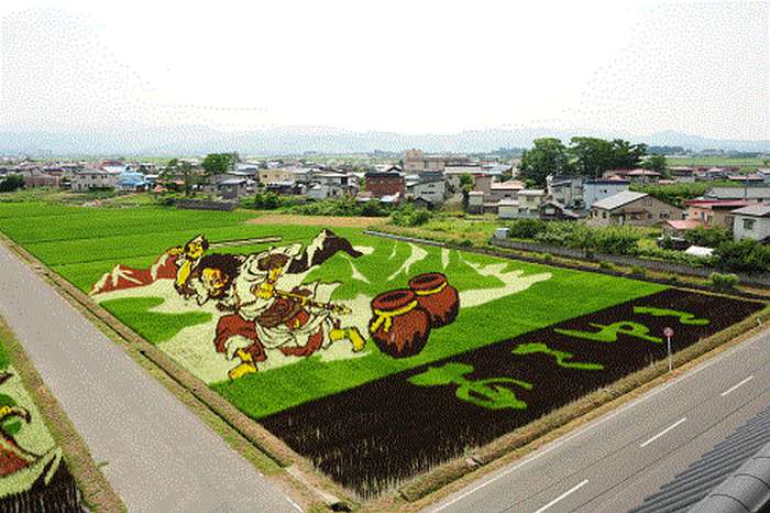 Inakadate Tanbo Art 2017 