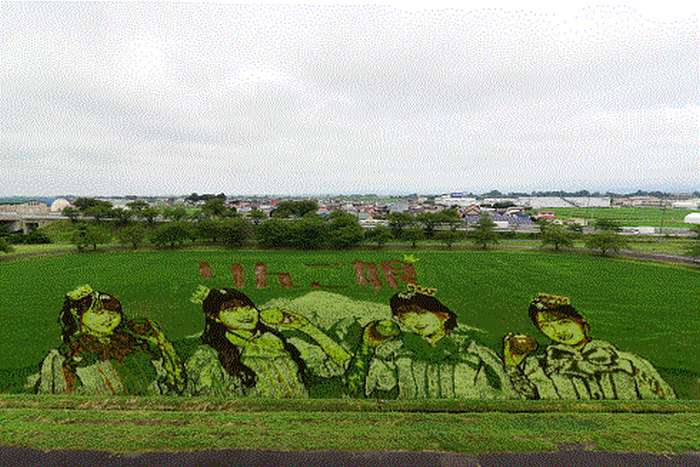 Inakadate Tanbo Art 2026