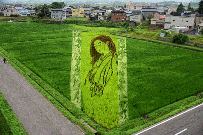 Inakadate Tanbo Art 2026