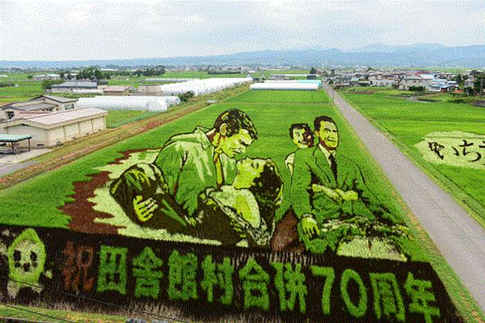 Tanbo Art, as impressionantes artes em plantações de arroz no Japão