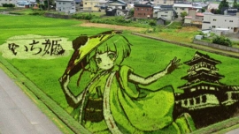 Tanbo Art, as impressionantes artes em plantações de arroz no Japão