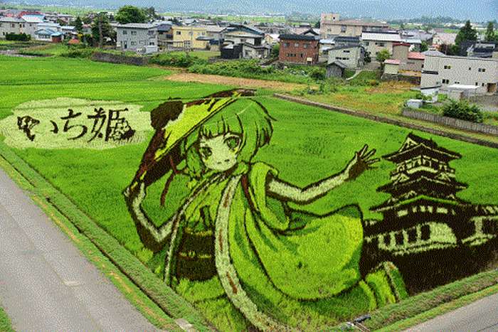 Tanbo Art, as impressionantes artes em plantações de arroz no Japão
