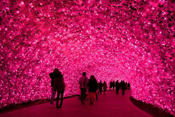 Kawazu-Sakura-Light-Tunnel