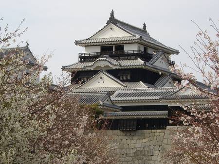 Resultado de imagem para Castelo de Matsuyama