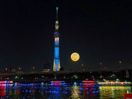 Tokyo Hotaru Festival tokyo luzes led lua cheia