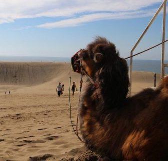 dunas de tottori