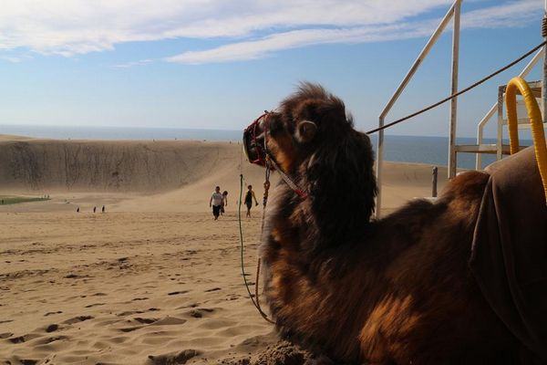 dunas de tottori