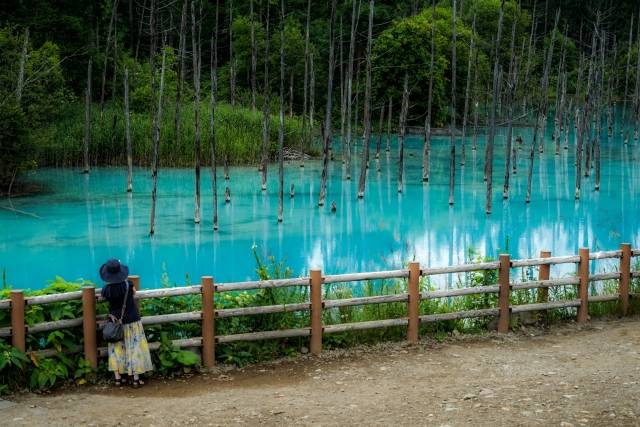 Shirogane aoi ike - A lagoa azul de Hokkaido