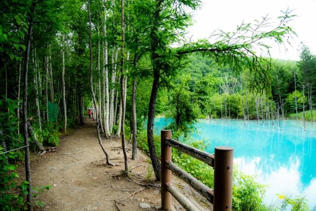 Shirogane aoi ike - A lagoa azul de Hokkaido