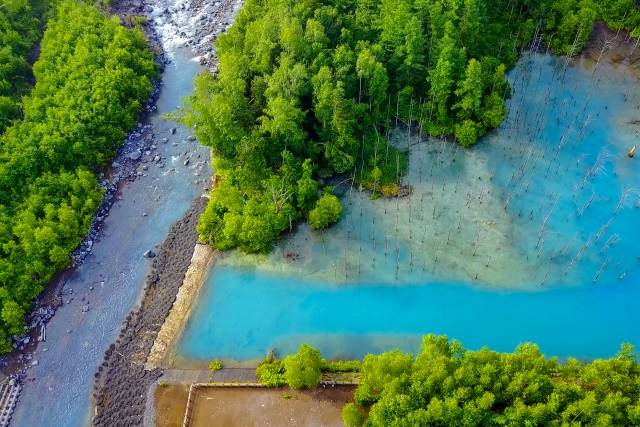 Shirogane aoi ike - A lagoa azul de Hokkaido