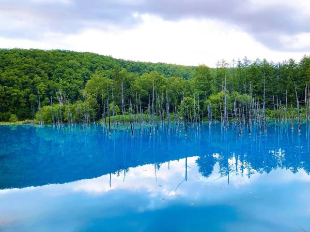 Shirogane aoi ike - A lagoa azul de Hokkaido