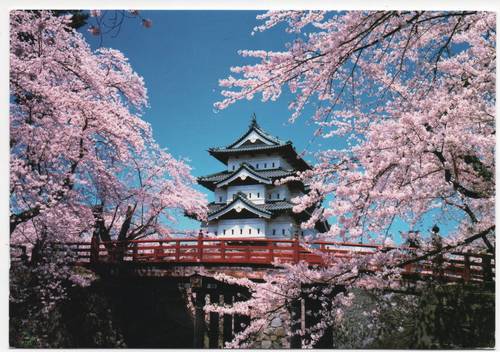 Castelo de Hirosaki sakura