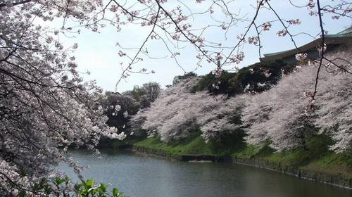 Parque Natural Ohirasan em Tochigi