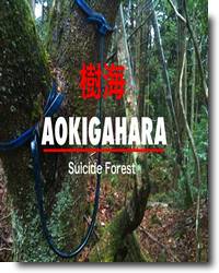 Floresta Jukai Aokigahara