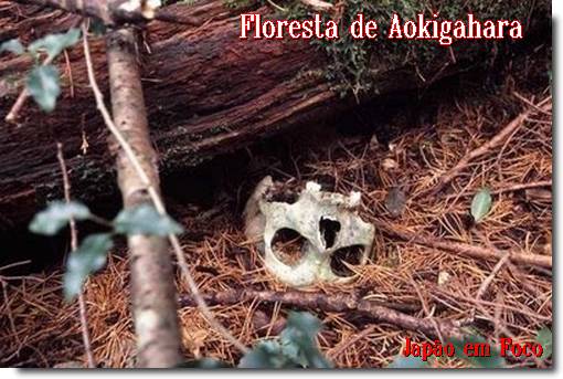 Floresta de Aokigahara