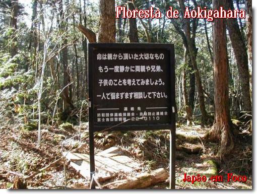 Floresta de Aokigahara