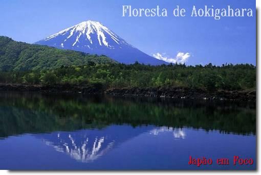 Floresta de Aokigahara