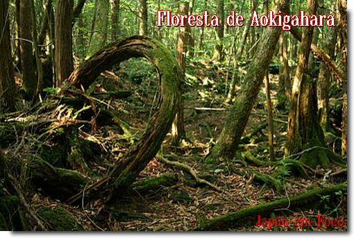 Floresta de Aokigahara