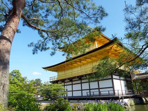 Templo Kinkaku Ji Pavilhao Dourado Curiosidades Do Japao