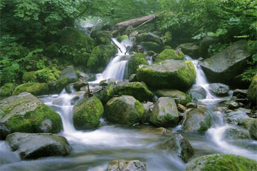 Shirakami-Sanchi Província de Akita e Aomori