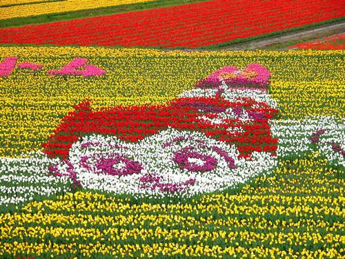 Tema: Astro Boy no Tantou Tulip Festival 2013 