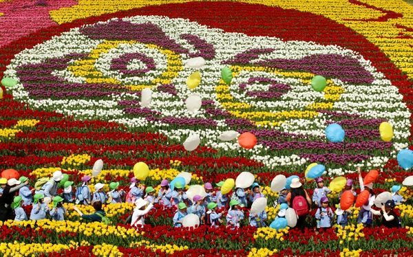 Tantou Tulip Festival, Hyogo